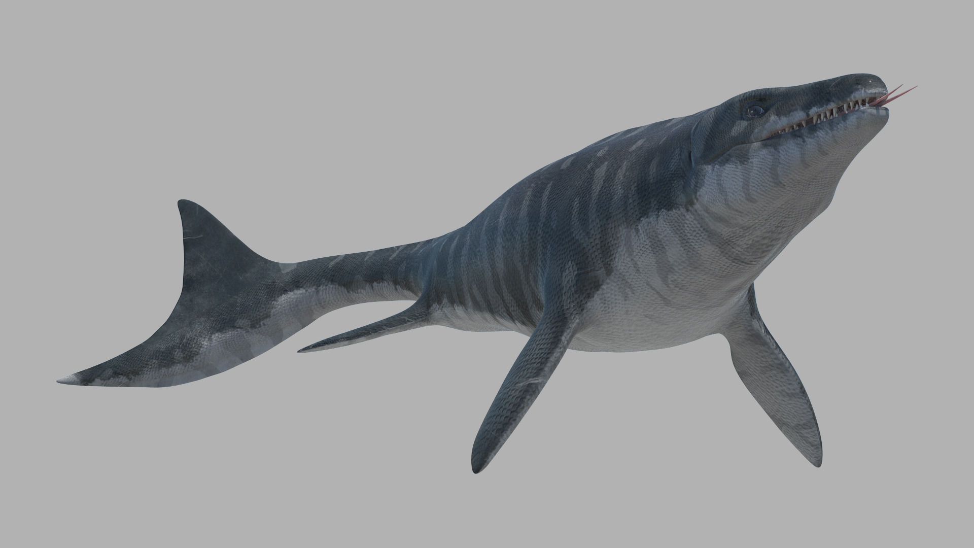 Mosasaurus Hoffmanni Historically Accurate 3D model_1