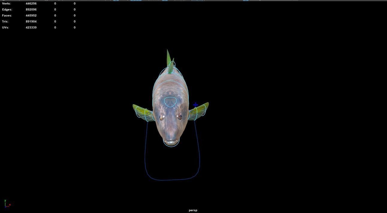 Big Eye Snapper 3D model_4