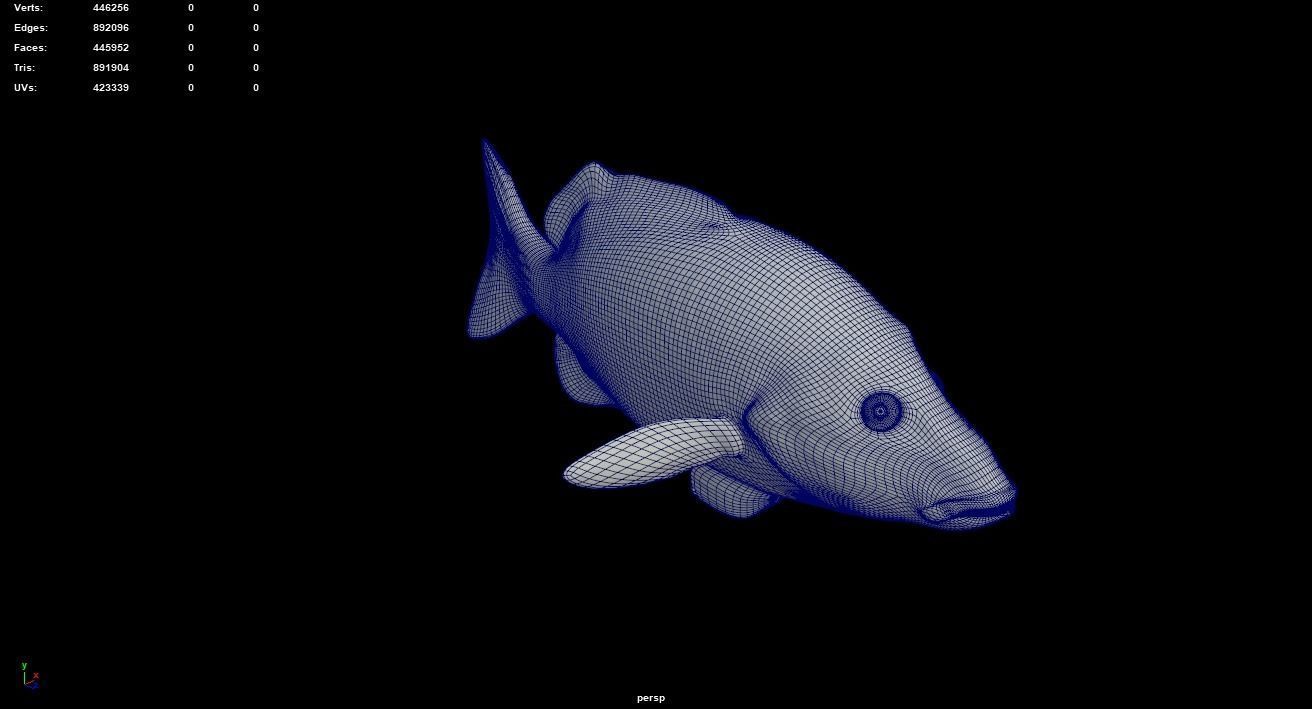 Big Eye Snapper 3D model_7