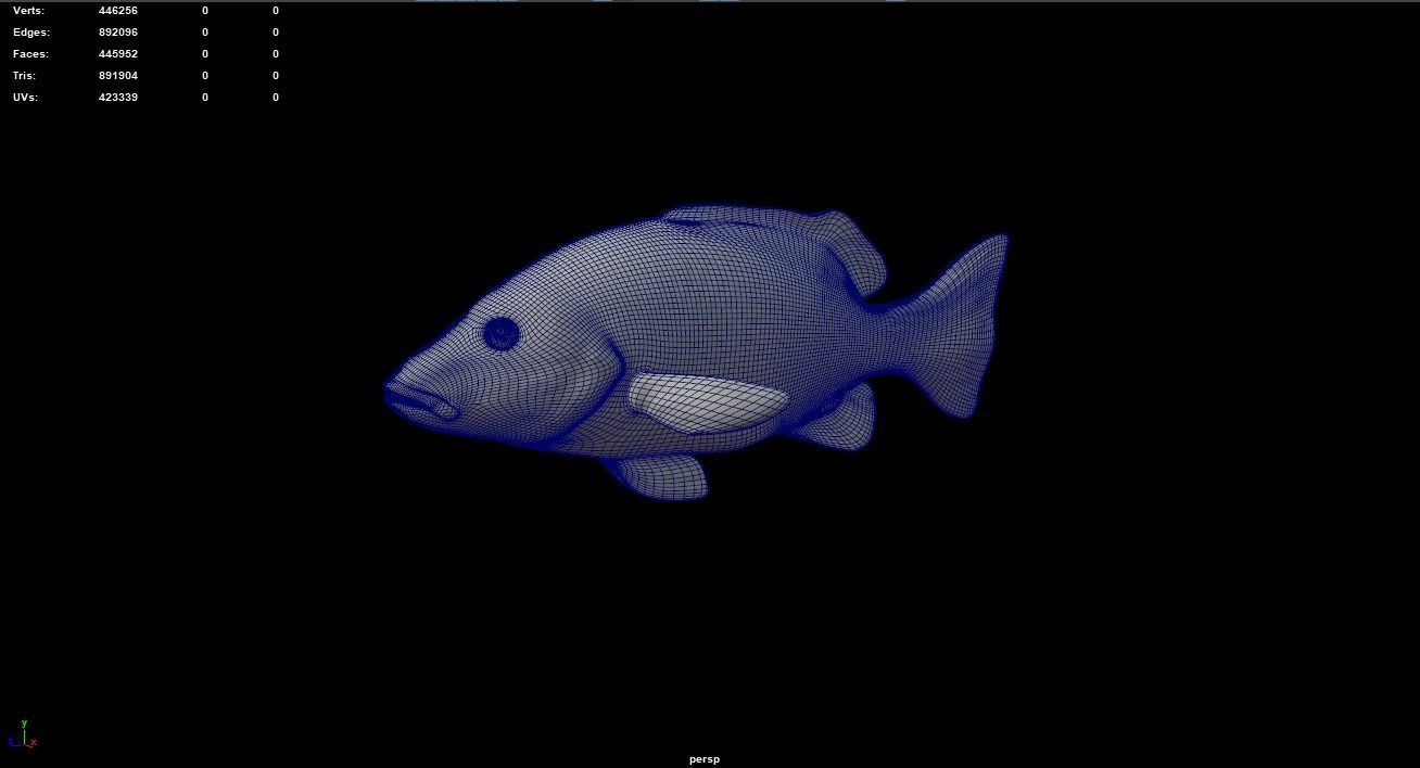 Big Eye Snapper 3D model_2