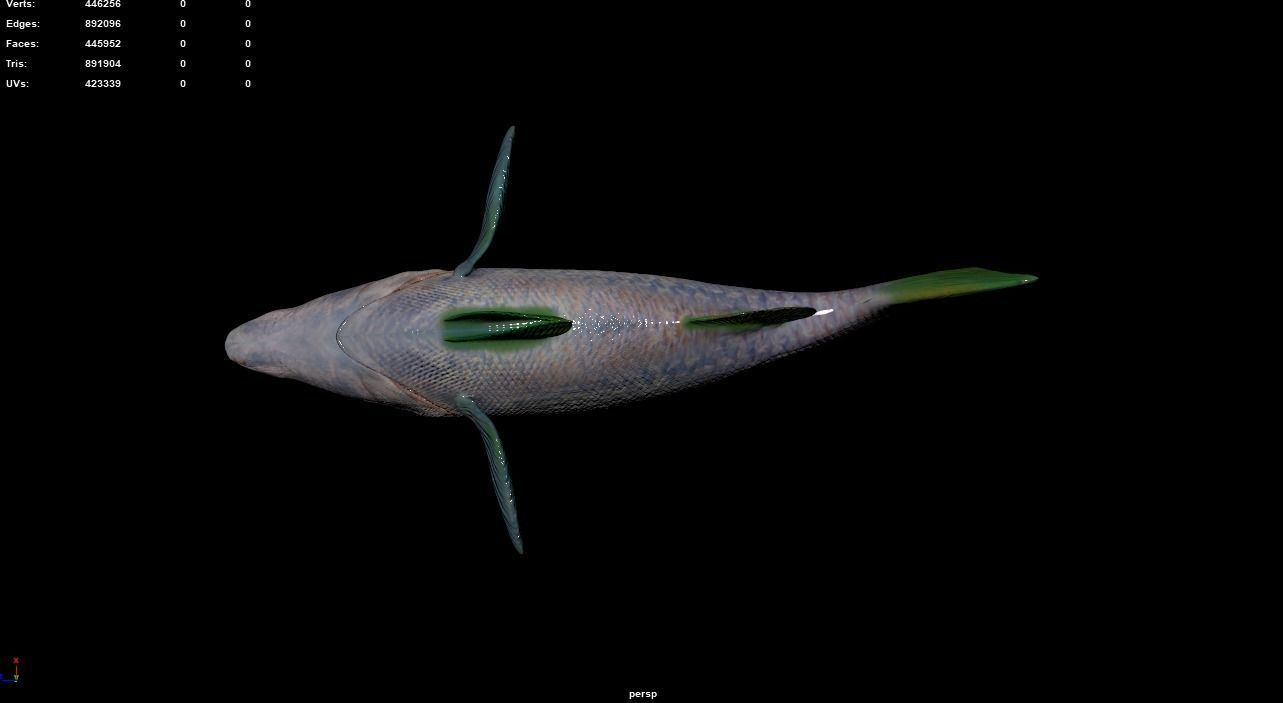 Big Eye Snapper 3D model_5