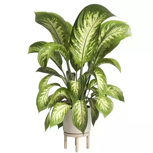 Indoor plant 68 wood vase plant pot