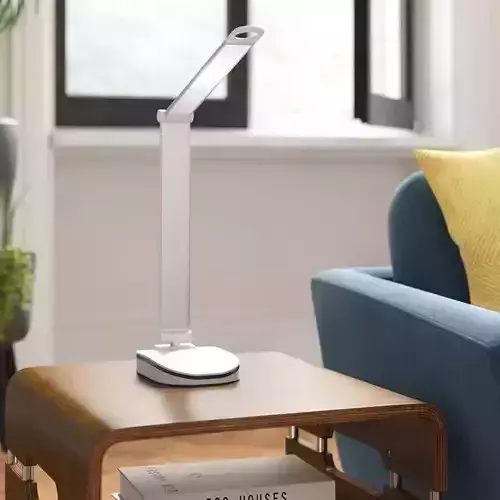 Feliz 71cm Desk Lamp
