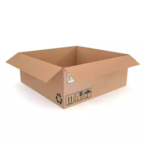 Cardboard box 21