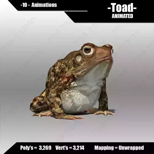 Toad Animated Low-poly 3D model