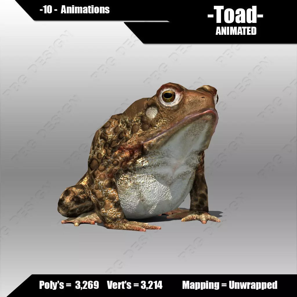 Toad Animated Low-poly 3D model_0