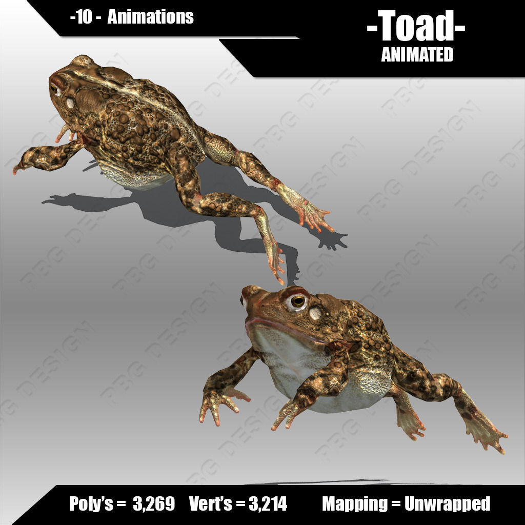 Toad Animated Low-poly 3D model_2