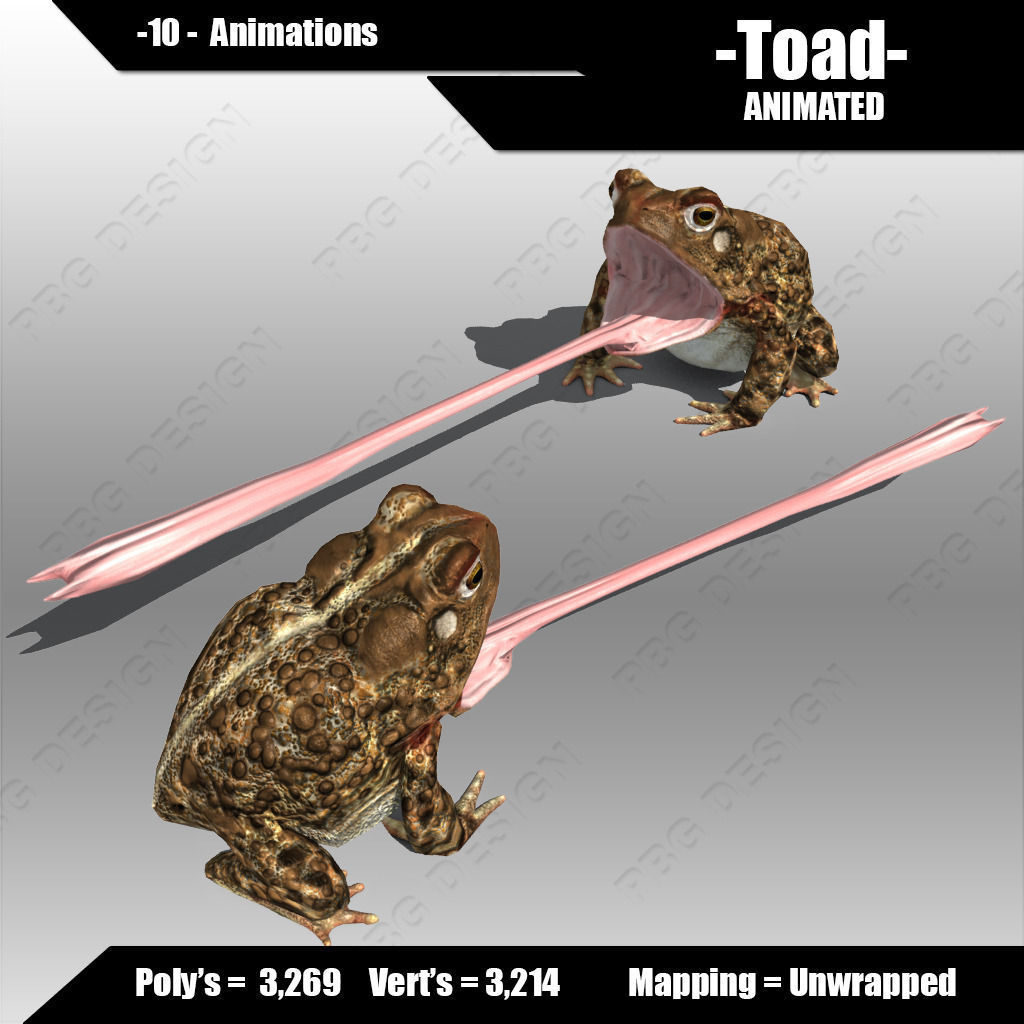 Toad Animated Low-poly 3D model_4