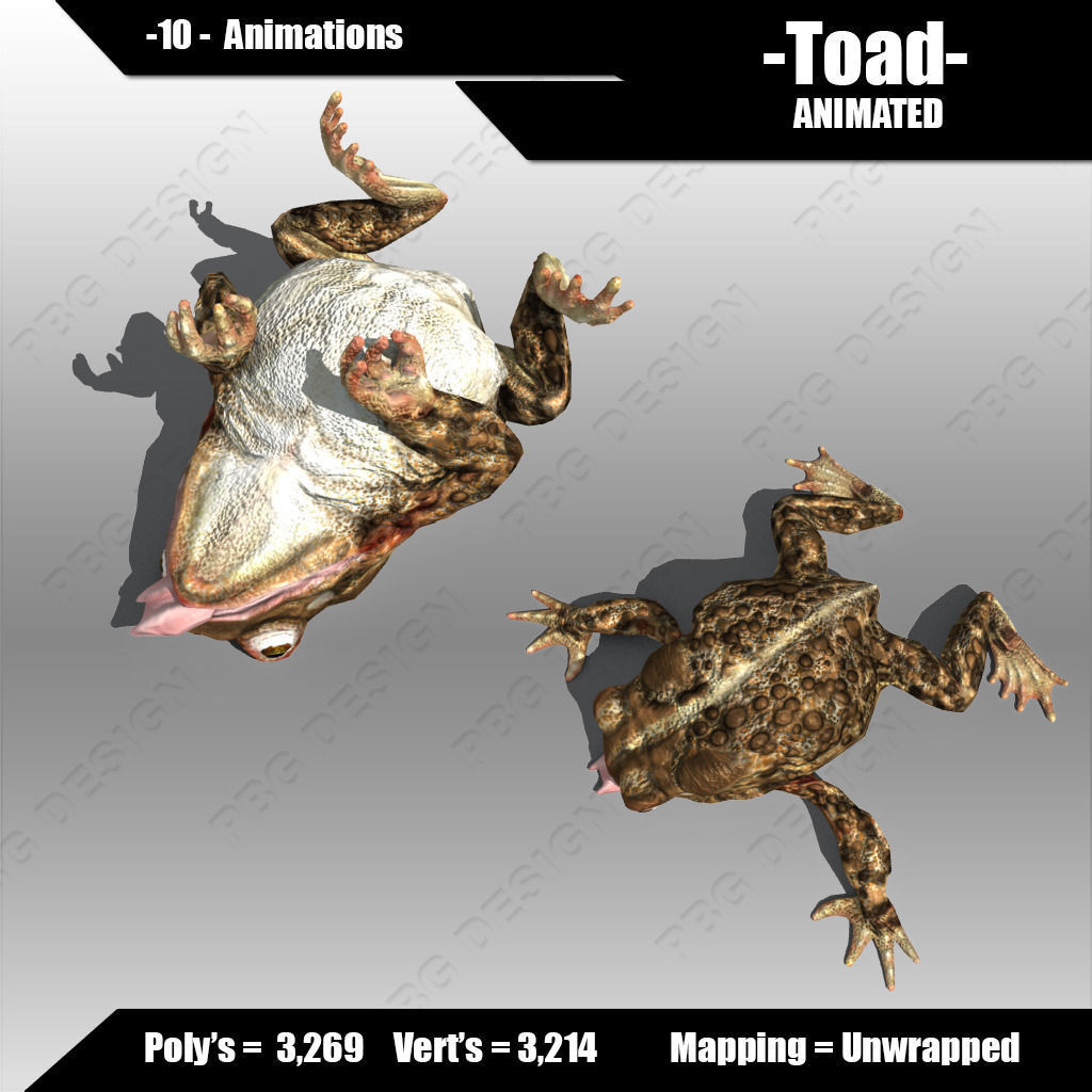 Toad Animated Low-poly 3D model_3