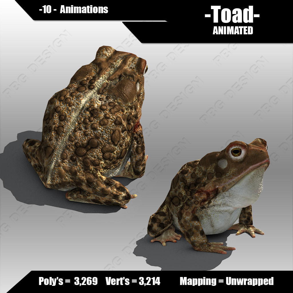 Toad Animated Low-poly 3D model_1