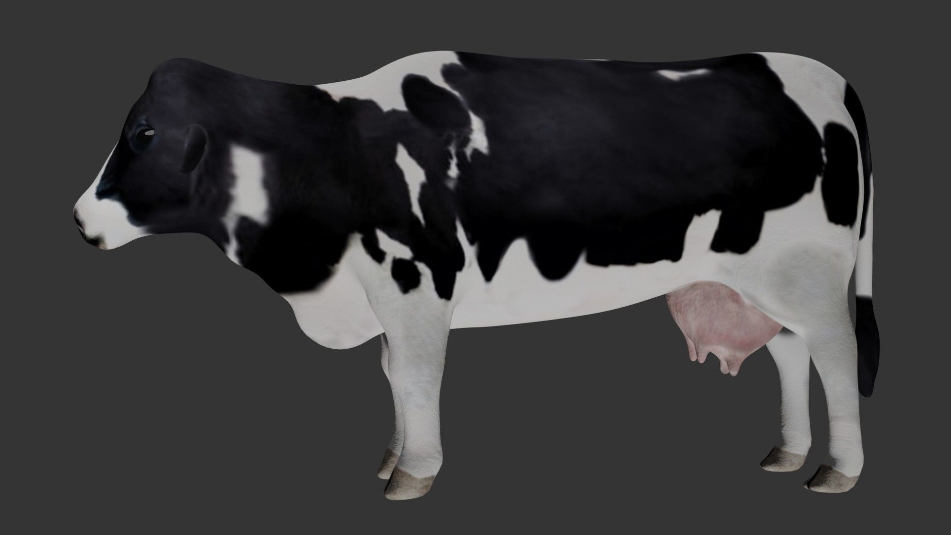 Dairy Cow Low-poly 3D model_1