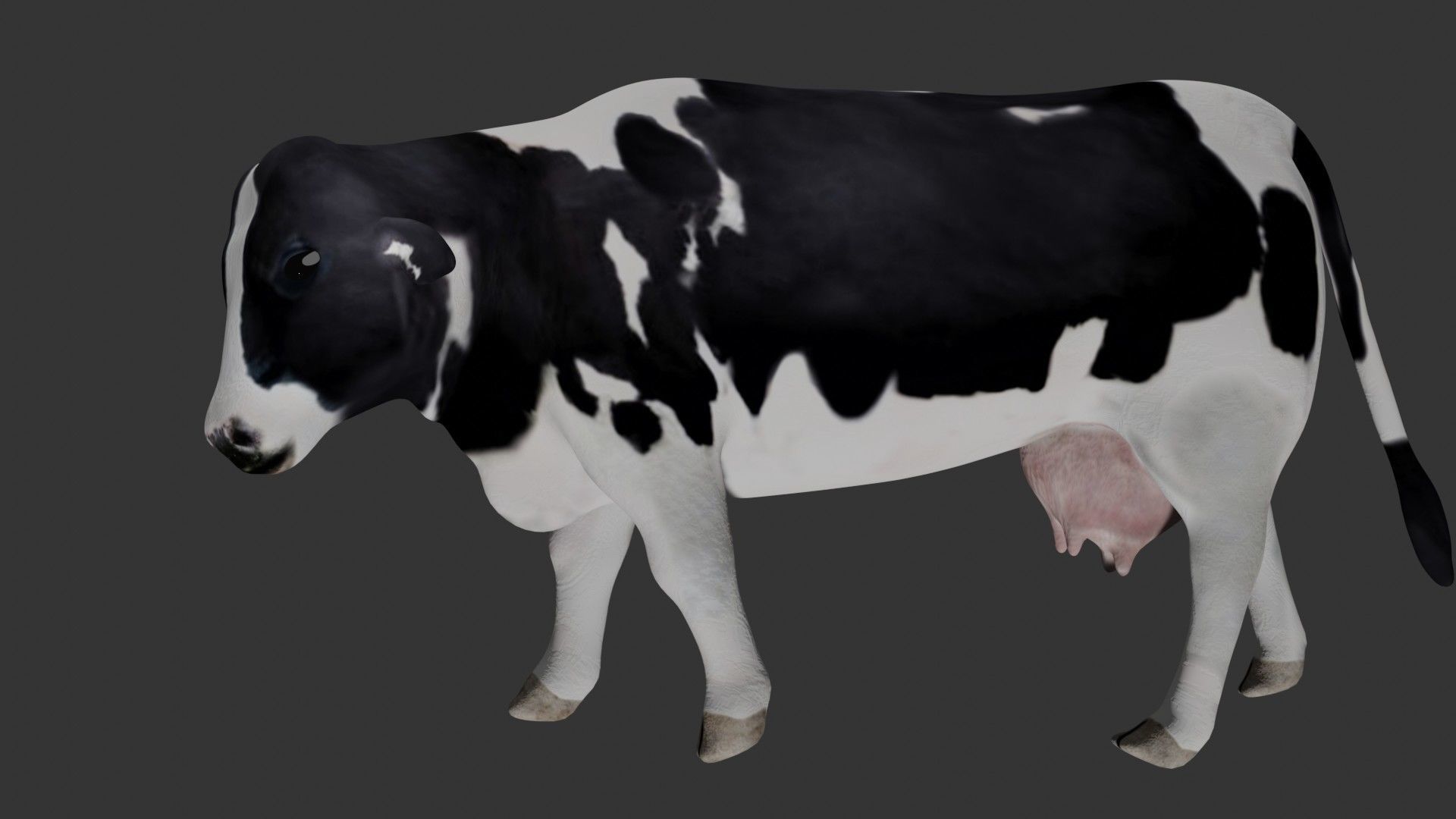 Dairy Cow Low-poly 3D model_3