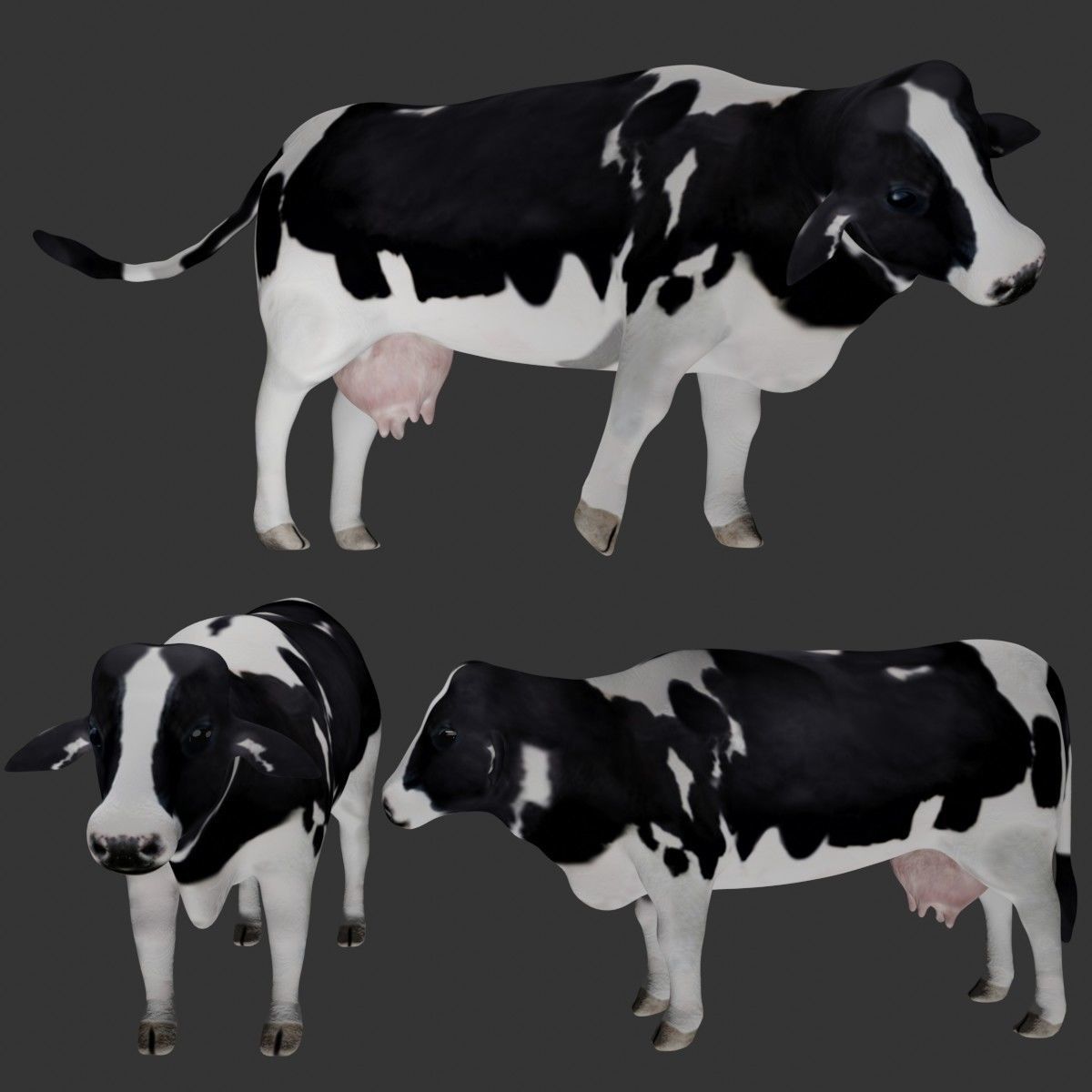 Dairy Cow Low-poly 3D model_2