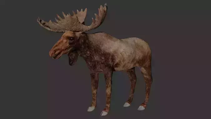 Moose Low-poly 3D model