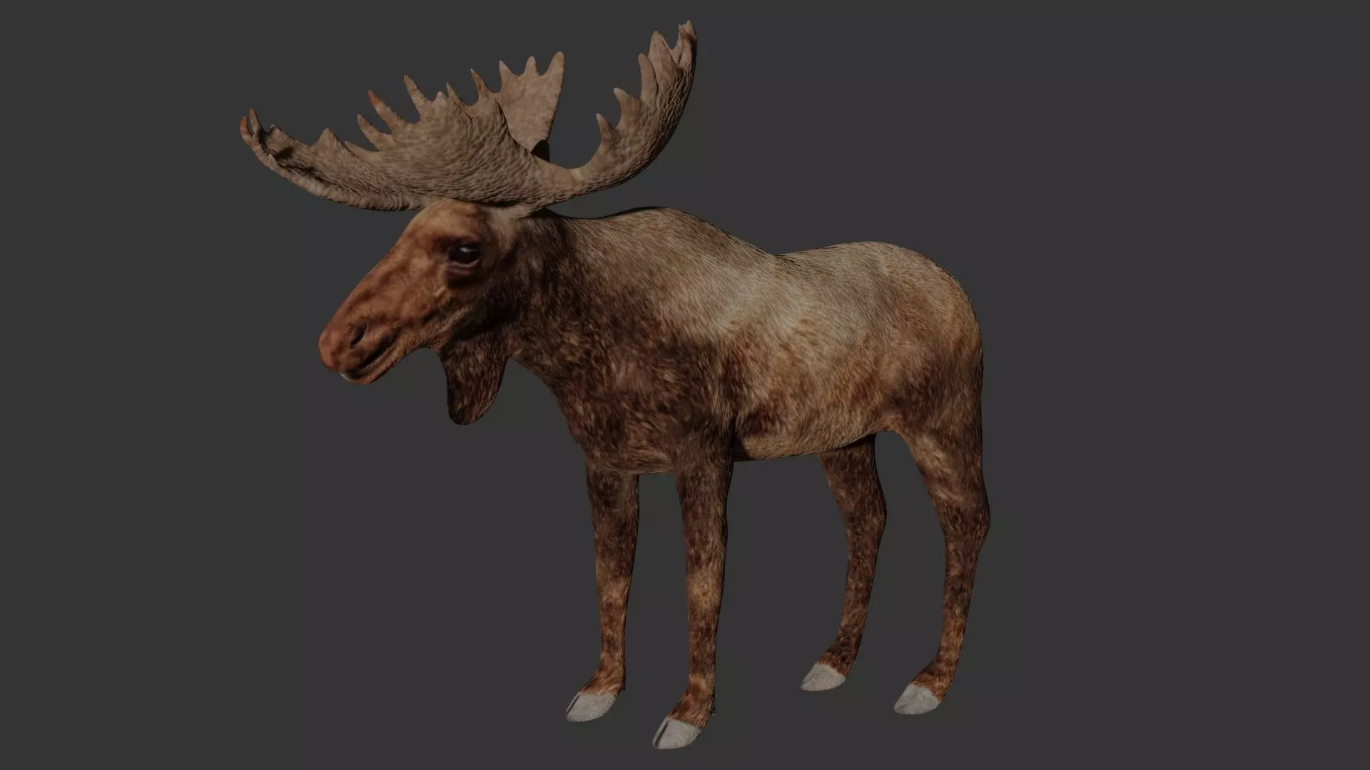 Moose Low-poly 3D model_0