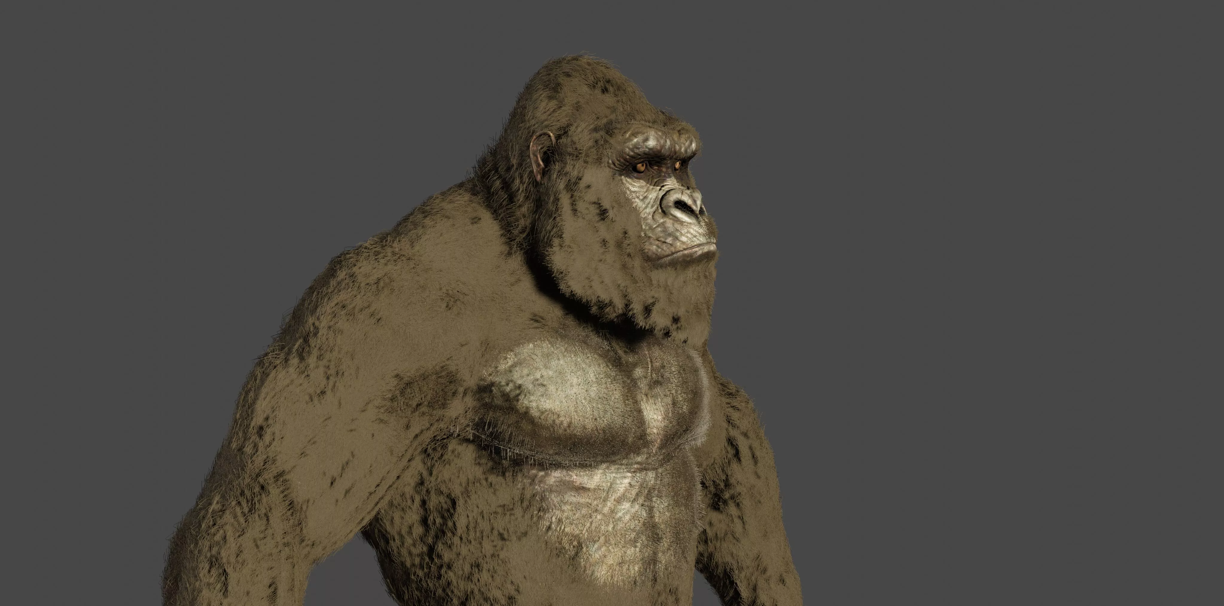 kong 2021 v2 Free 3D model