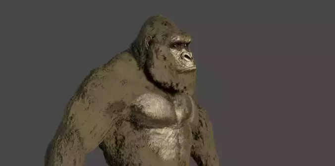 kong 2021 v2 Free 3D model