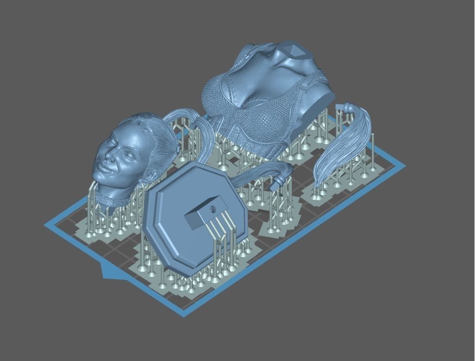 Harley Quinn Bust STL 3D print model 3D print model_4