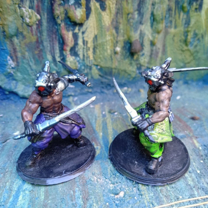 BUSHIDO SOUL REAPER JINN - XY STANCE 3D print model_3