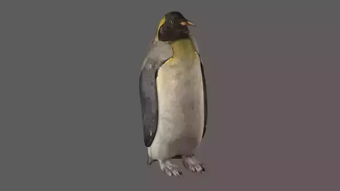 Penguin 3D model