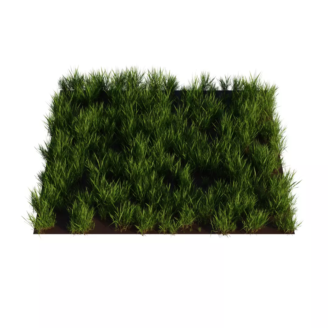 high poly grass miniature mat Free 3D model