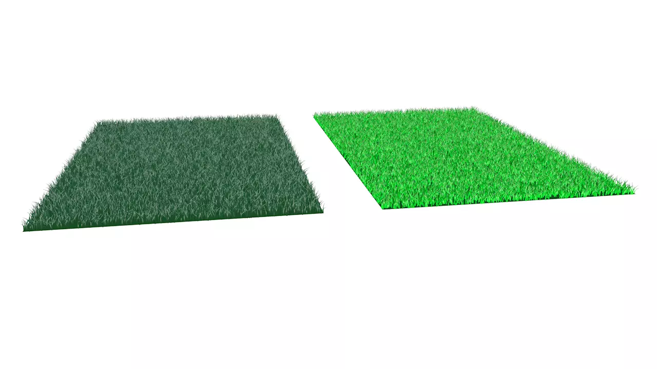 Grass two pieces of Low-poly 3D model_0