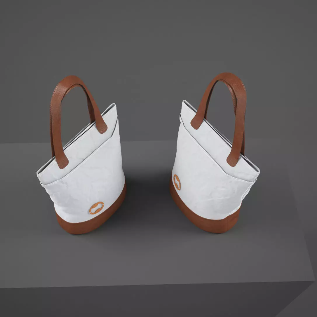 bag2 two tote bags 3D model