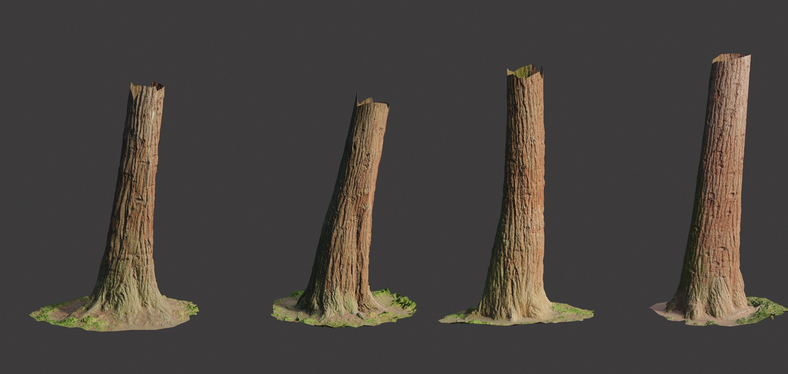 4 Redwood Pine Cedar Trunks 3D PhotoScan Realistic  Low-poly 3D model_1