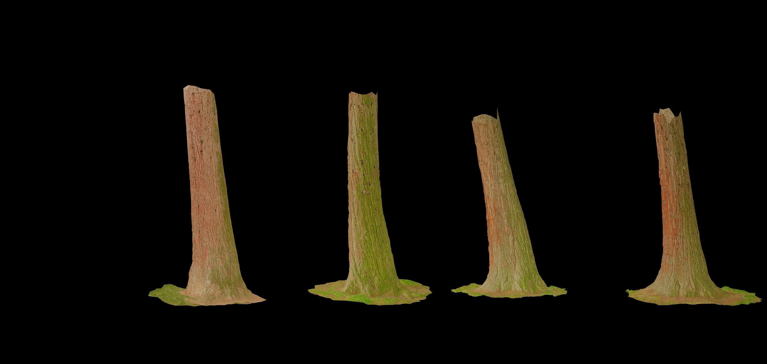 4 Redwood Pine Cedar Trunks 3D PhotoScan Realistic  Low-poly 3D model_6