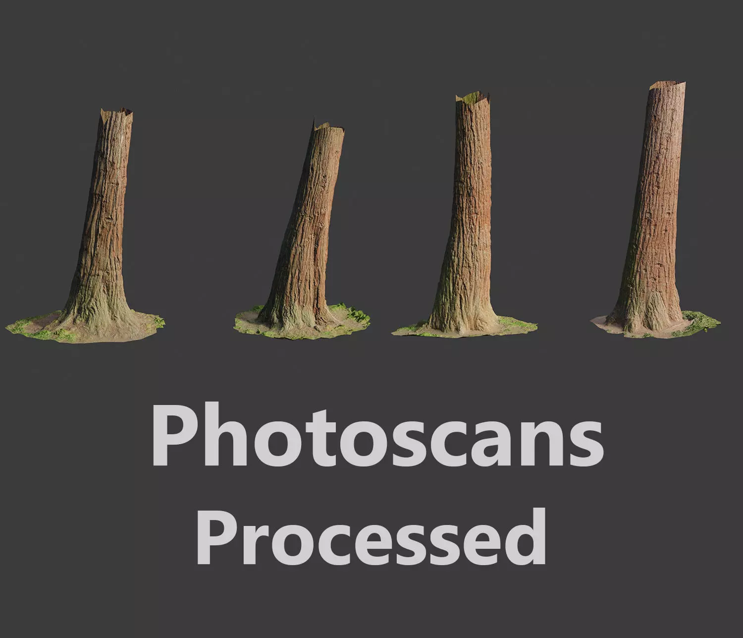 4 Redwood Pine Cedar Trunks 3D PhotoScan Realistic  Low-poly 3D model_0