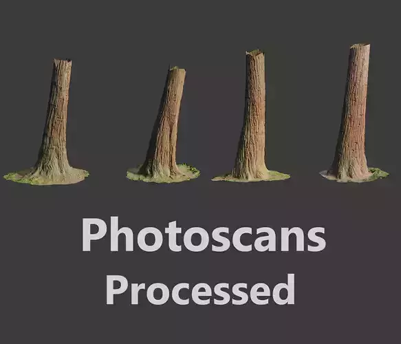4 Redwood Pine Cedar Trunks 3D PhotoScan Realistic  Low-poly 3D model