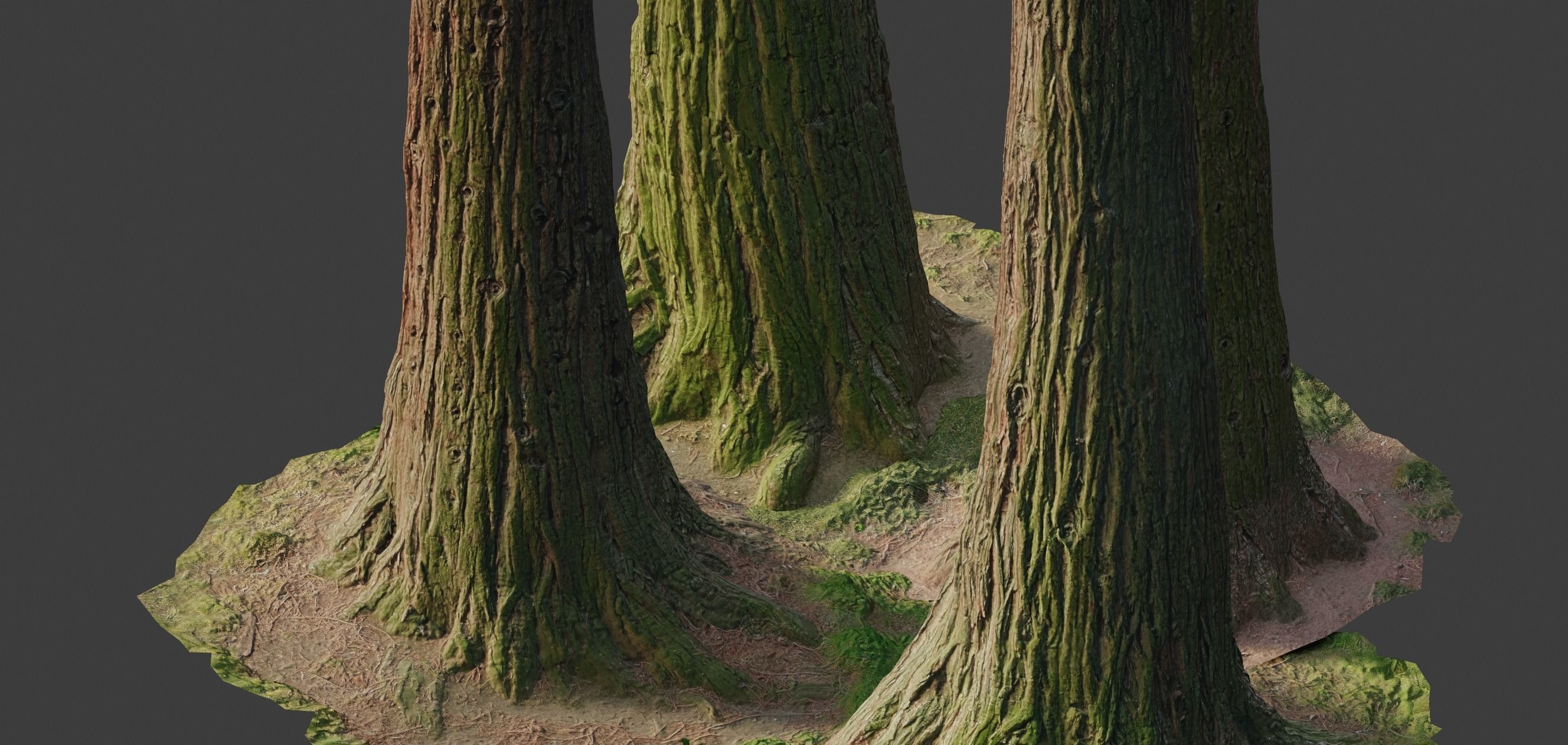 4 Redwood Pine Cedar Trunks 3D PhotoScan Realistic  Low-poly 3D model_2