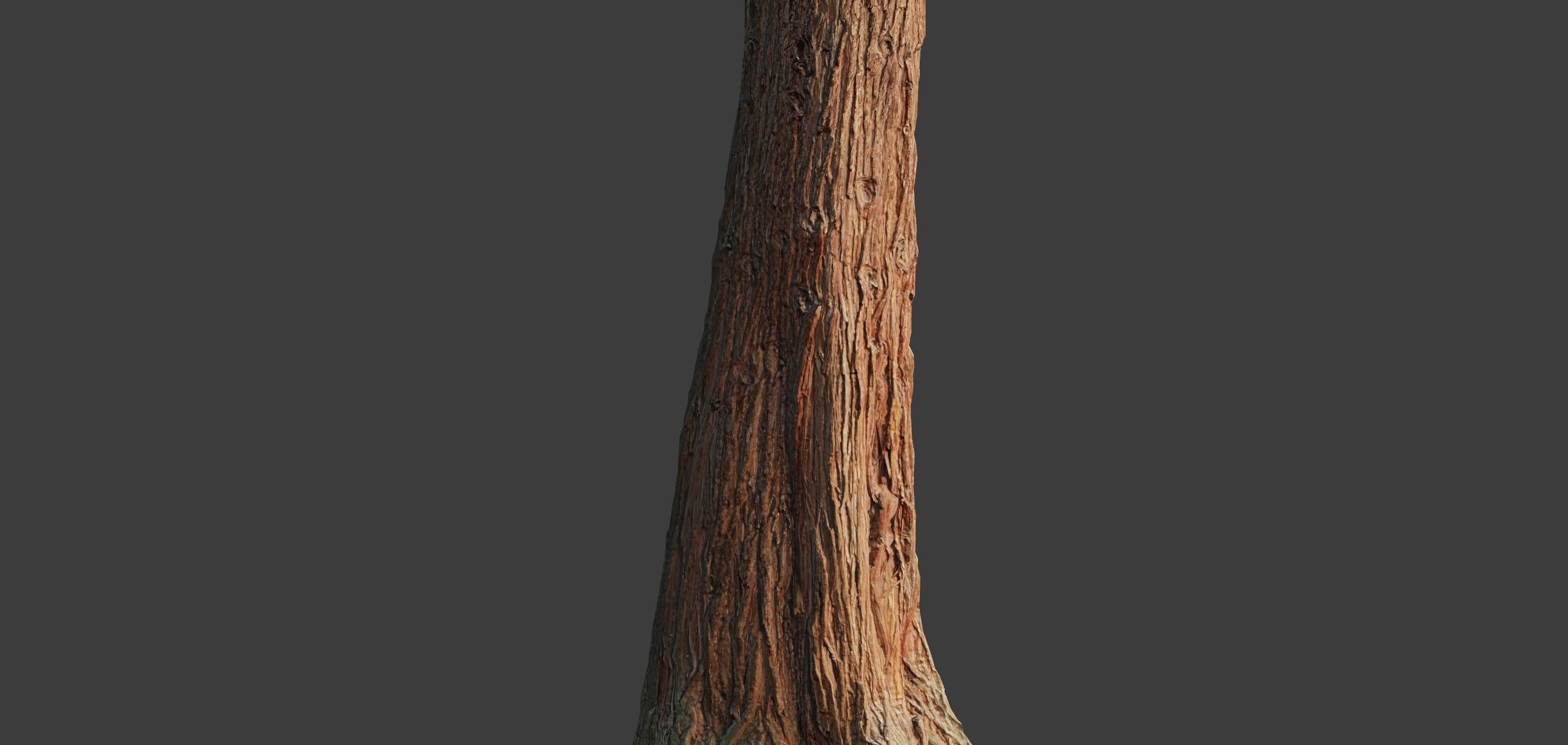 4 Redwood Pine Cedar Trunks 3D PhotoScan Realistic  Low-poly 3D model_11