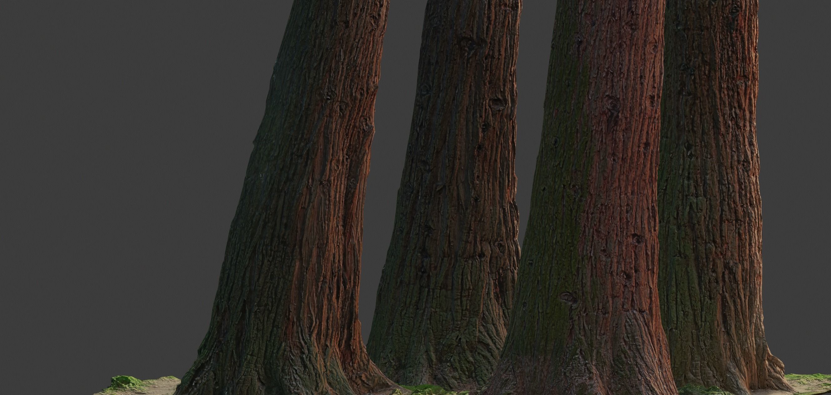 4 Redwood Pine Cedar Trunks 3D PhotoScan Realistic  Low-poly 3D model_7