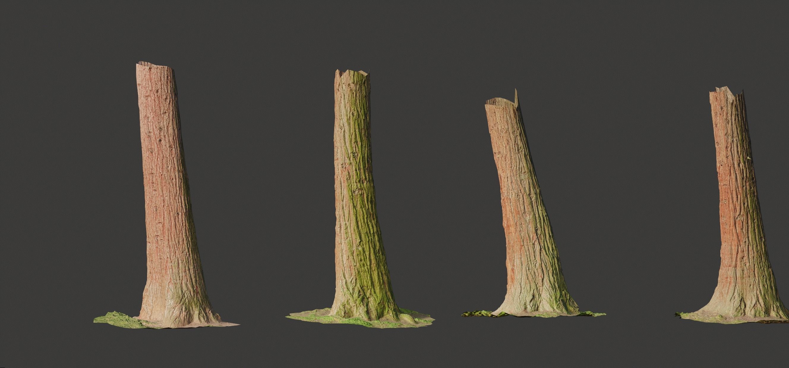 4 Redwood Pine Cedar Trunks 3D PhotoScan Realistic  Low-poly 3D model_4