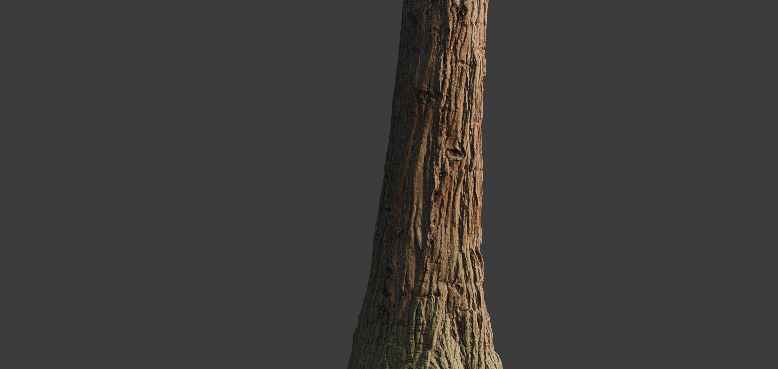 4 Redwood Pine Cedar Trunks 3D PhotoScan Realistic  Low-poly 3D model_13