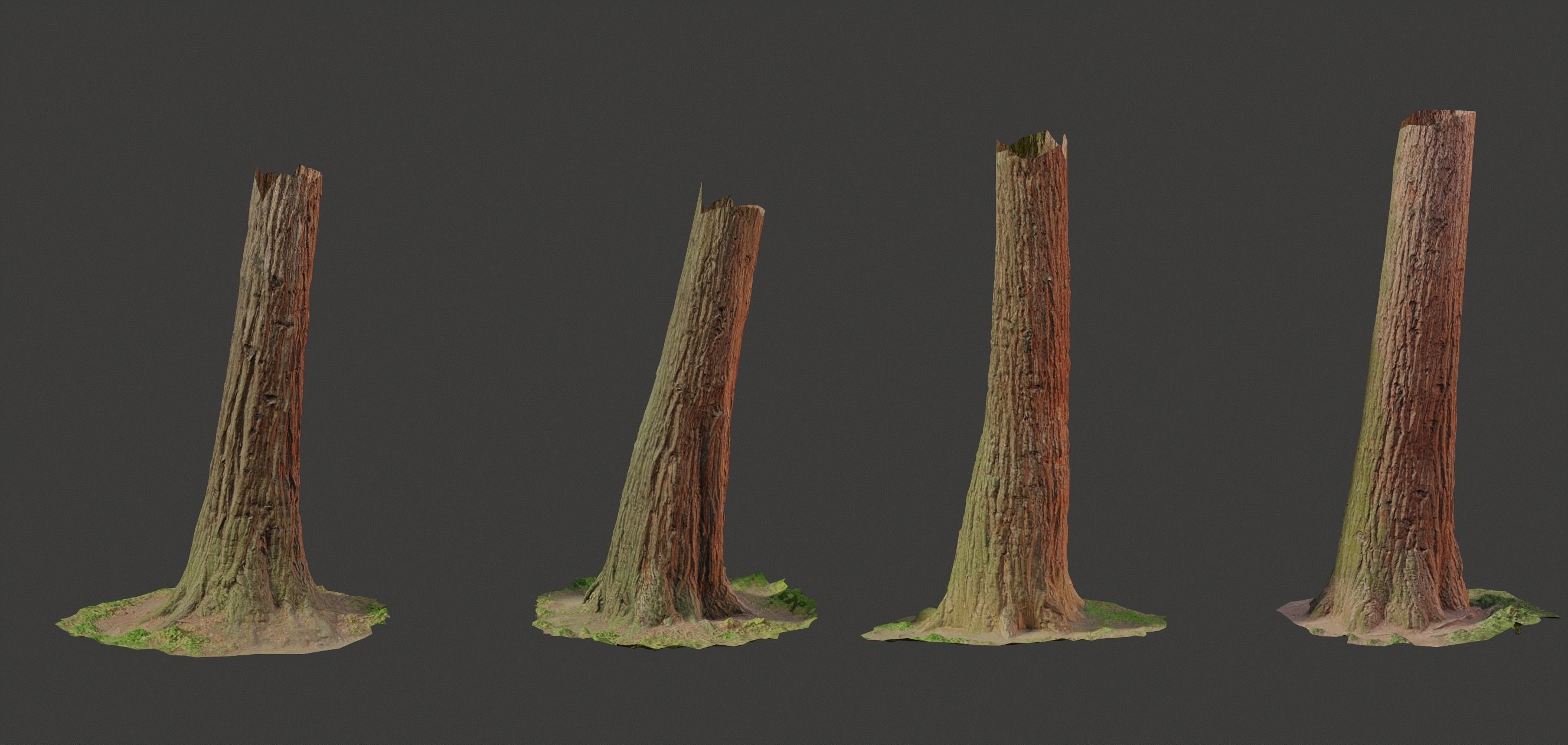 4 Redwood Pine Cedar Trunks 3D PhotoScan Realistic  Low-poly 3D model_3