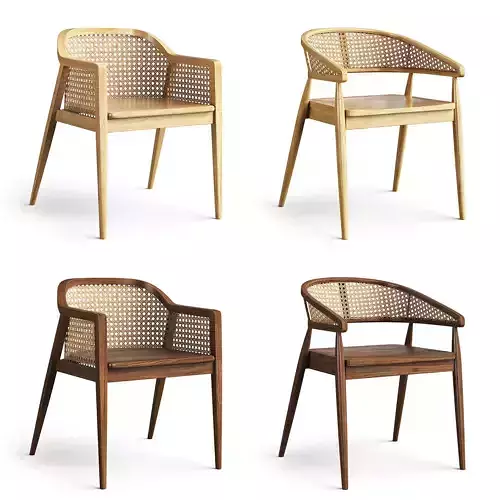 Rattan chairs