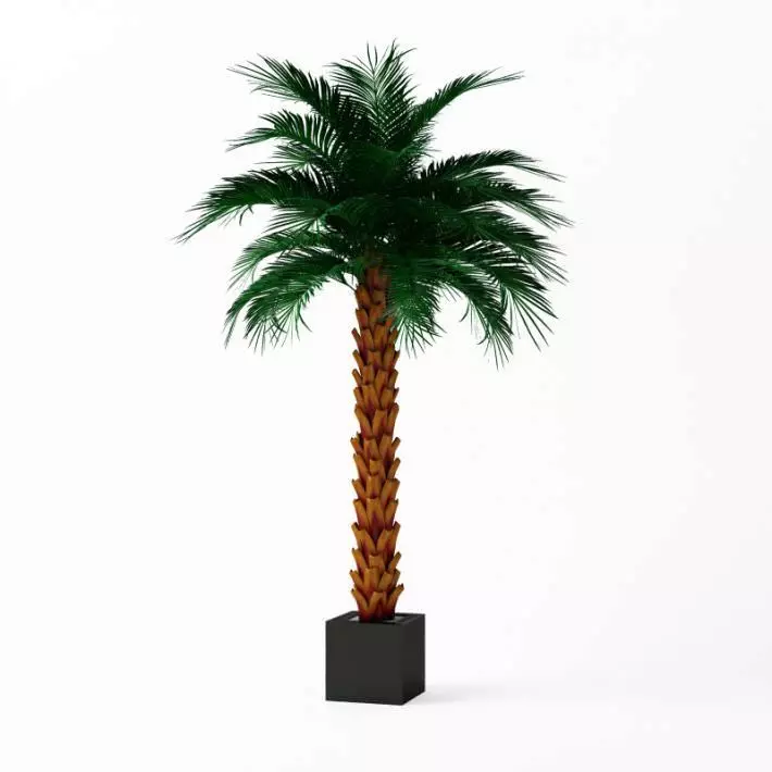 Artificial Palm Tree 3D model_0