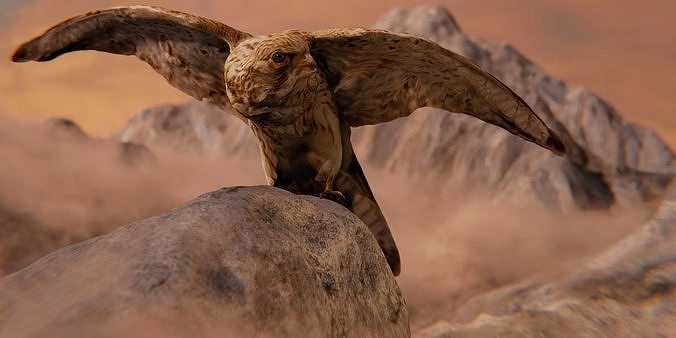 Photorealistic Female Kestrel Bird Low-poly 3D model