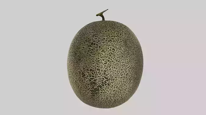 Cantaloupe 01 Low-poly 3D model