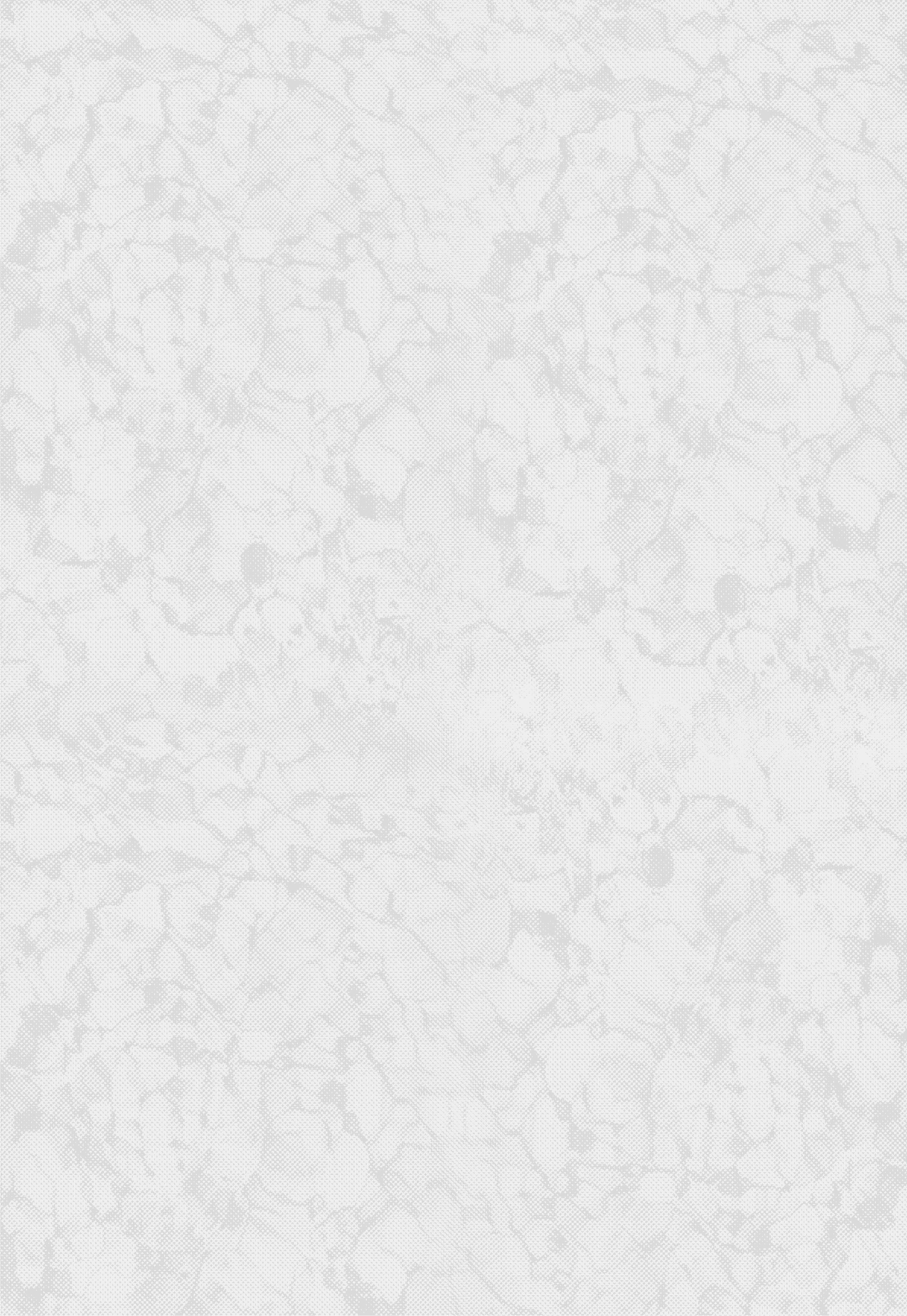 Raw Edge T-shirt Low-poly 3D model_10