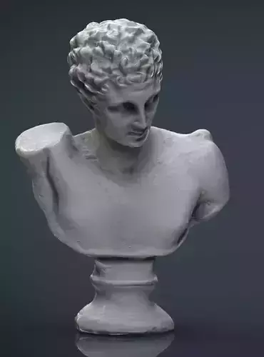 BUST of person Low-poly 3D model
