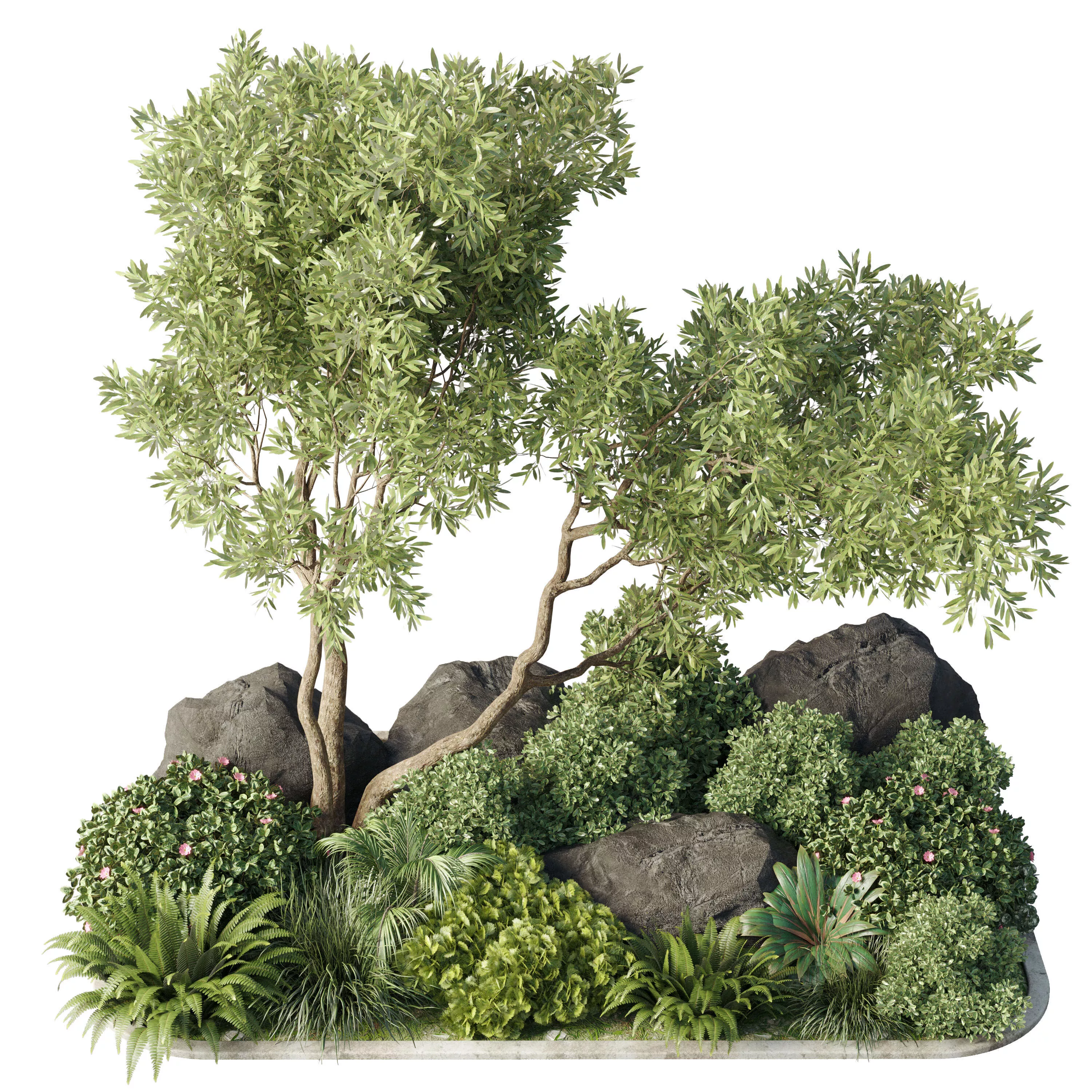Collection outdoor pot plant tree bush fern the garden 3D model