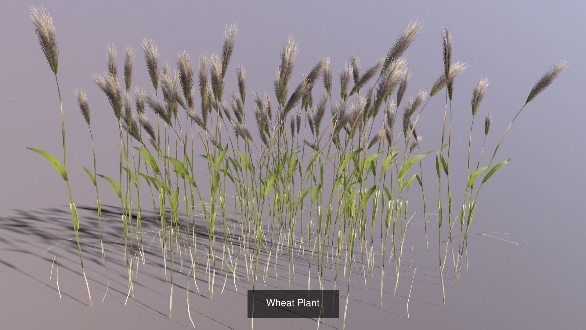 Unlimited Egypt Pack 3D Model Collection_6