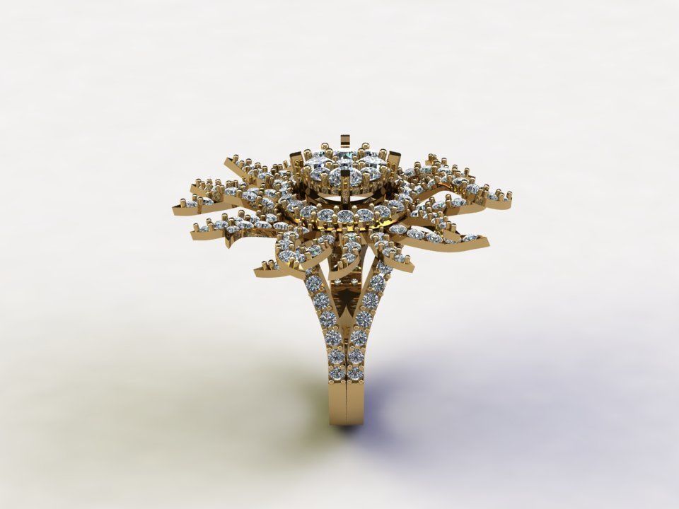 R114 women ring 2021 cad file  3D model_5