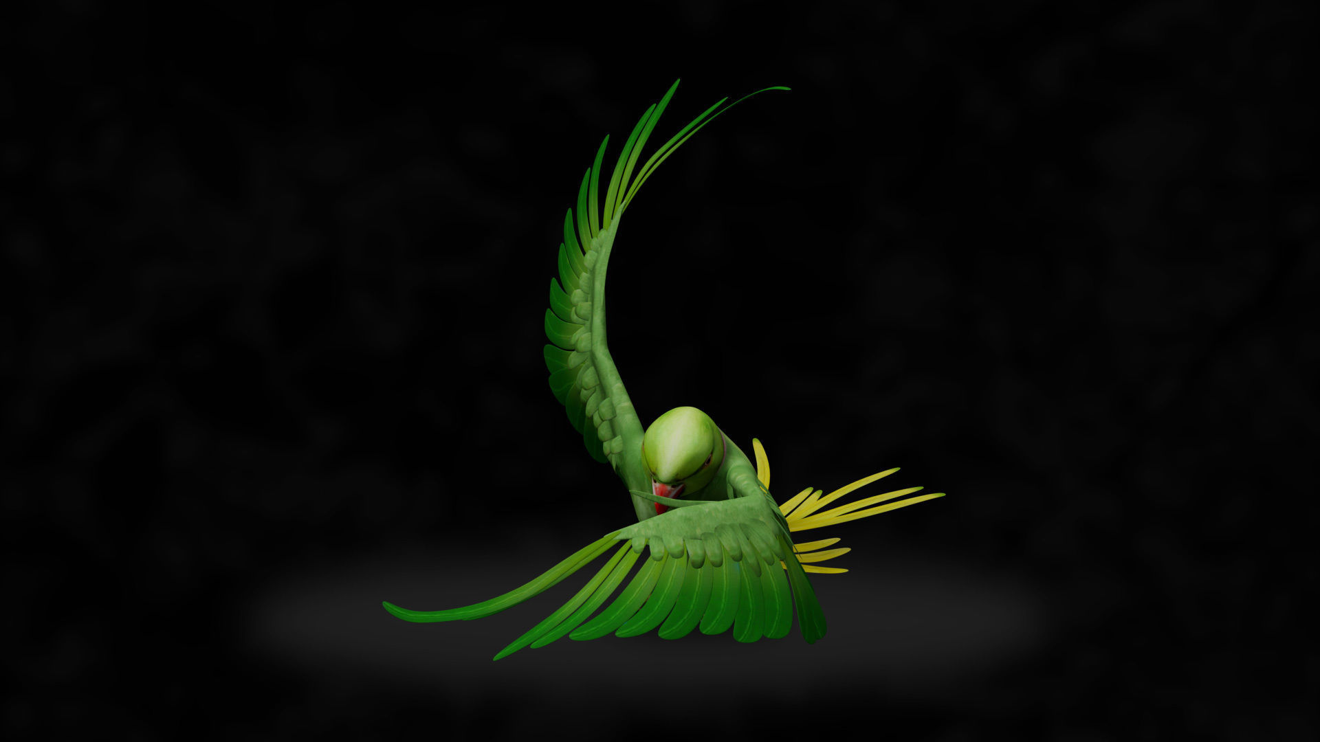 Parakeet parrot in flight 3D model_4