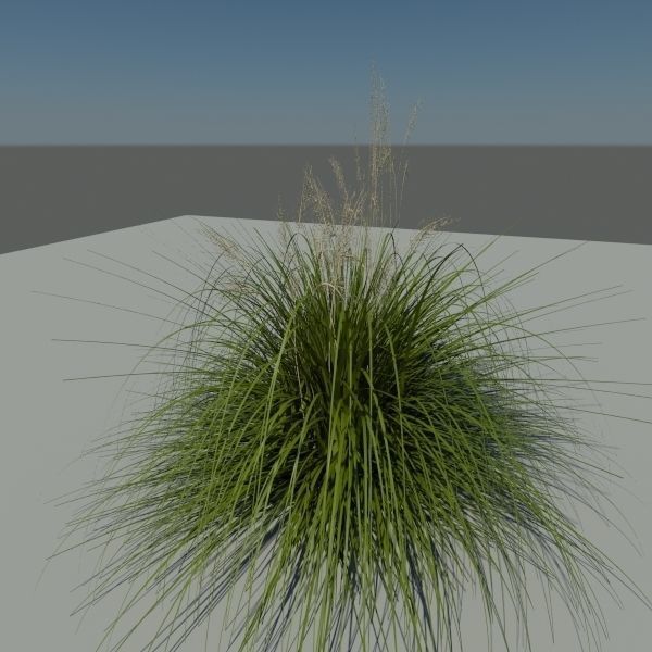 3D Plant Collection 1 garden with grasses and flowers 3D model_16