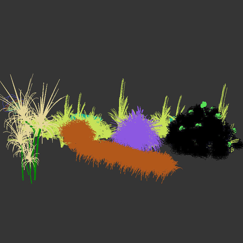 3D Plant Collection 1 garden with grasses and flowers 3D model_6
