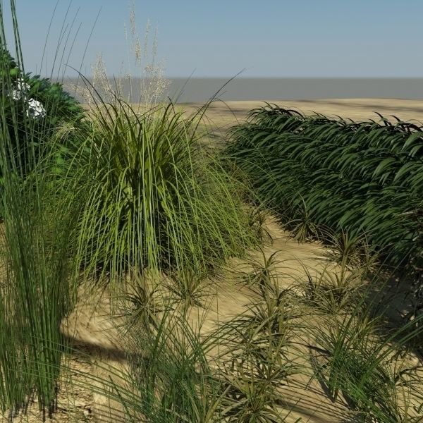 3D Plant Collection 1 garden with grasses and flowers 3D model_2